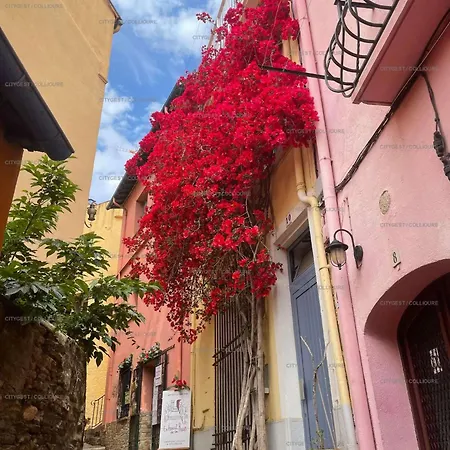 Apartman 4terimp-a304 Joli De Standing Vue Collioure